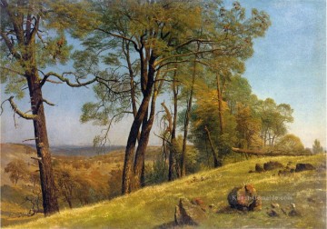  Kal Kunst - Landschaft Rockland County Kalifornien Albert Bierstadt